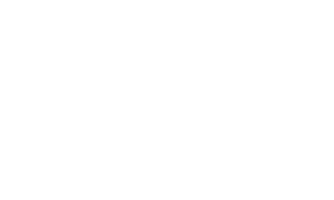 Dumbphone